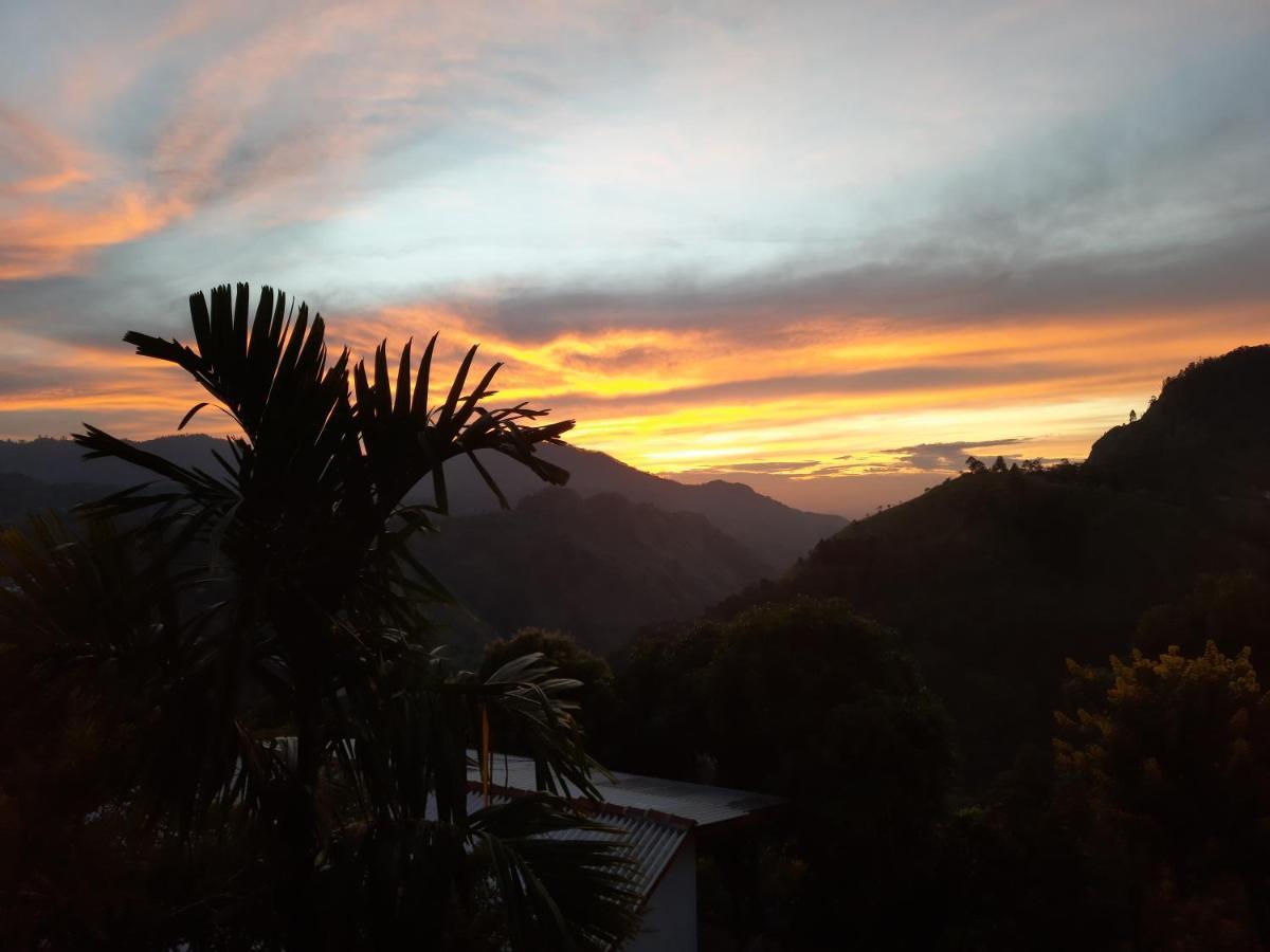 Bed and Breakfast Aloft View Ella Esterno foto
